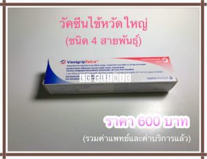 วัคซีนไข้หวัดใหญ่ (Influenza Vaccine) ราคา 600 บาท/เข็ม โคราช ประโคนชัย บุรีรัมย์