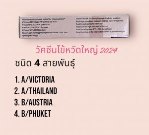 คำถาม วัคซีนไข้หวัดใหญ่ 4 สายพันธุ์ ป้องกันสายพันธุ์อะไร ควรฉีดเดือนไหน ฉีดวัคซีนแล้วมีไข้ไหม ทำไมต้องฉีดทุกปี แอลซีคลินิก