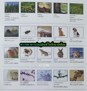 ตรวจเลือดสารก่อภูมิแพ้ ตรวจหาสารก่อภูมิแพ้แบบเฉียบพลัน ในอาหารและอากาศ 40 ชนิด โคราช บุรีรัมย์